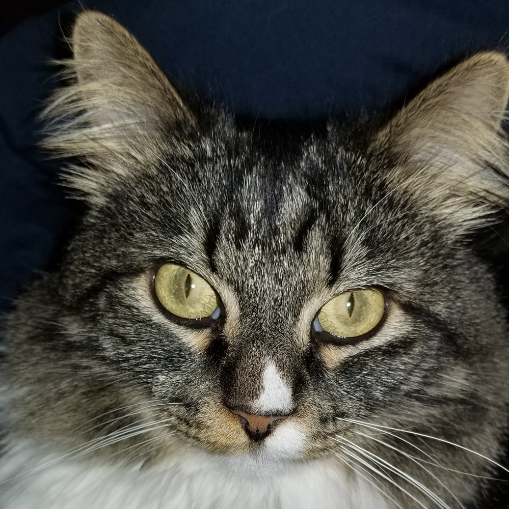 Meet your Posher, Olga